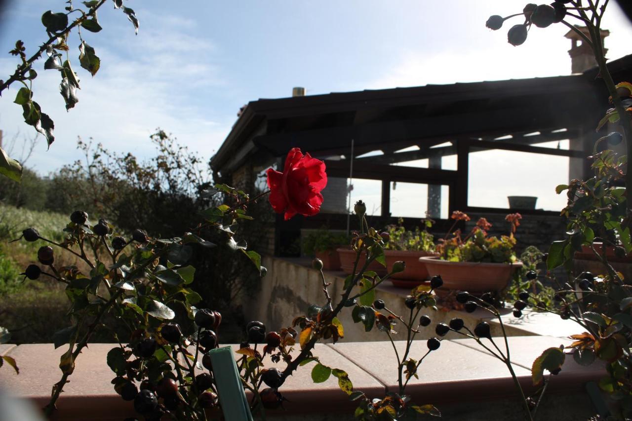 La Casa Di Bia *