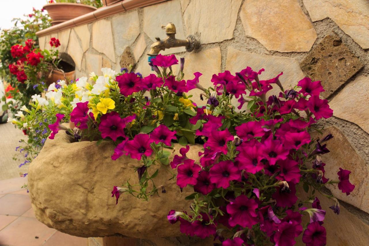 Bed & Breakfast La Casa Di Bia Corleone